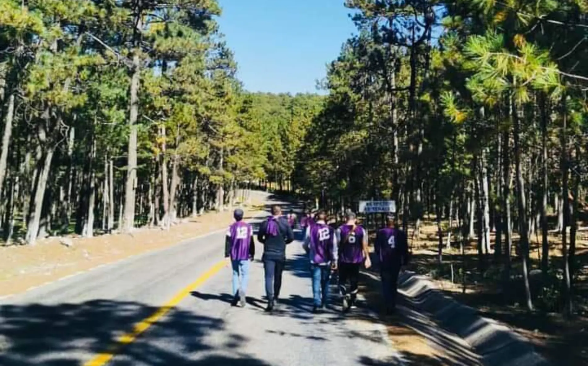 Carrera Gpe y Calvo